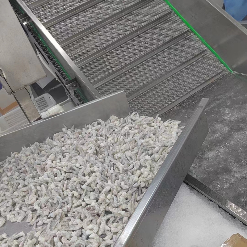 Una mirada al interior de la línea de producción de congelación rápida de mariscos (6)