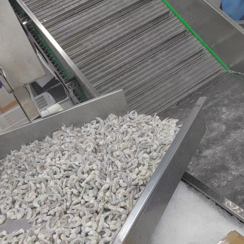 An Inside Look at the Seafood Quick-Freeze Production Line (6)