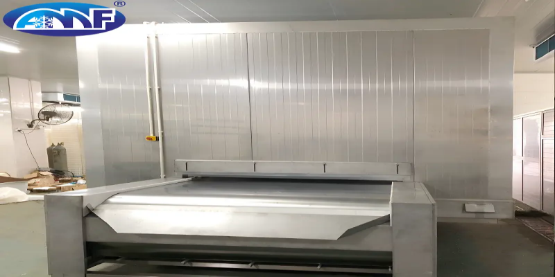 Solid Belt Tunnel Freezer