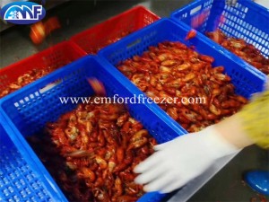 Spiral Freezer for Crayfish