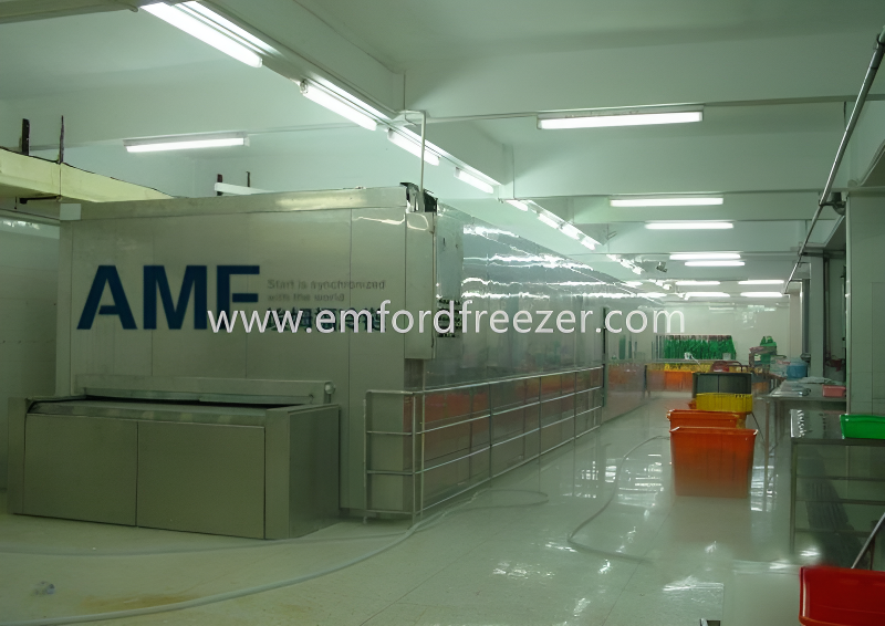 iqf tunnel freezer