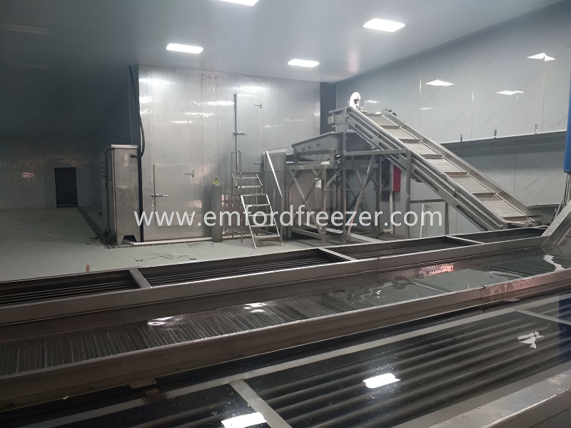 fluidized tunnel freezer