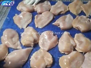 Spiral Freezer for Chicken Breast